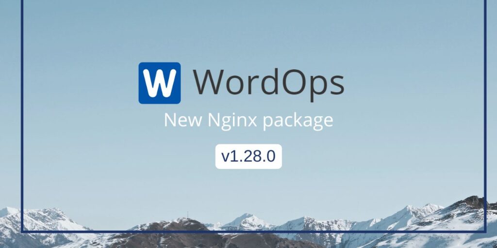 New nginx package v1.28.0