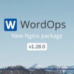 New nginx package v1.28.0